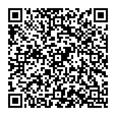 79667801771