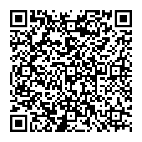 79667850539
