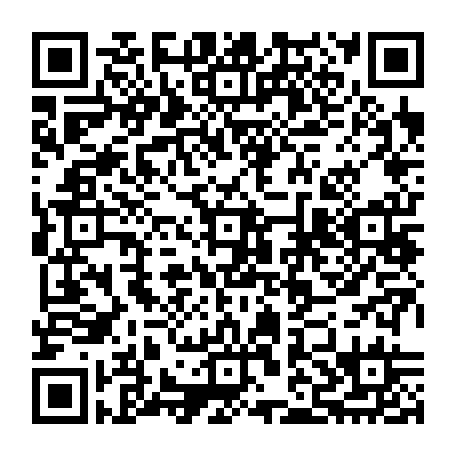 79667851232
