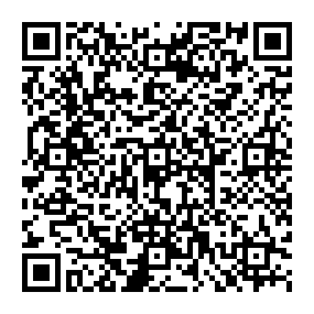 79667851241