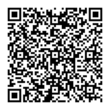 79667851252