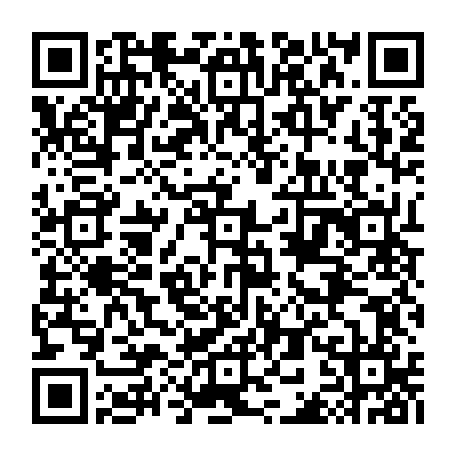 79667851295