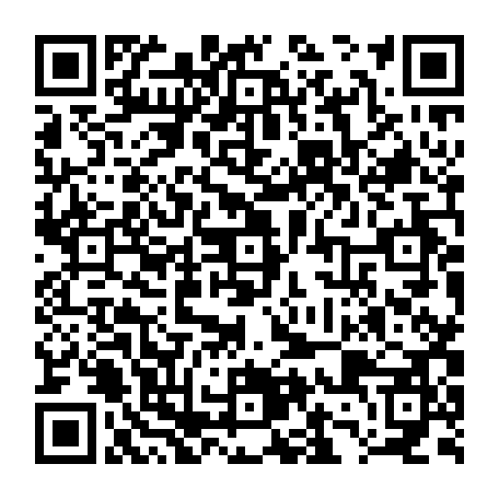 79669661317