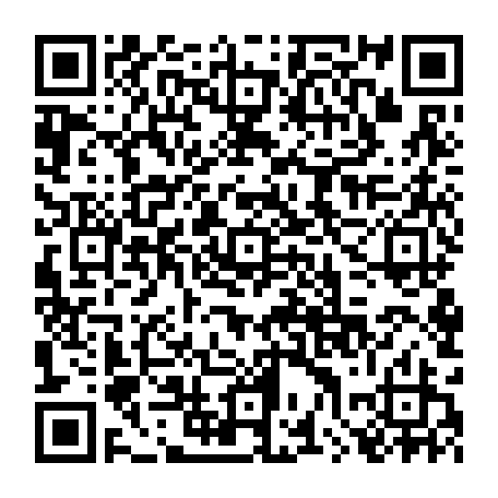 79669661333