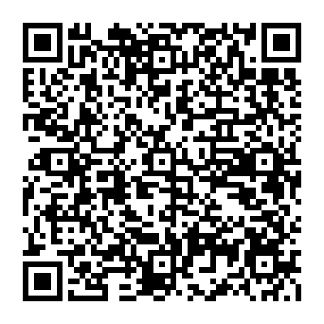 79669661904