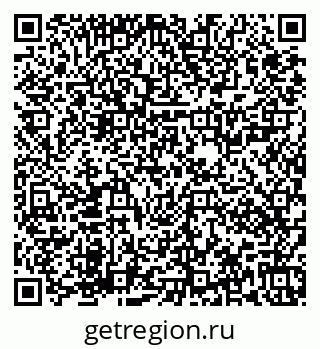 79673021381