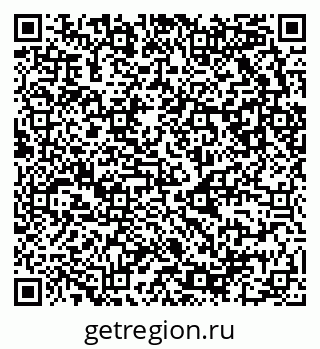 79681100019