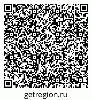 79681100411