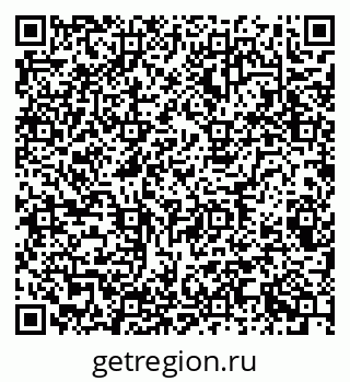 79681228658