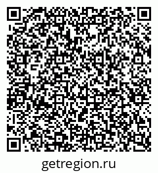 79681240031