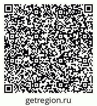 79681240995