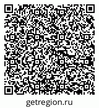 79681300516