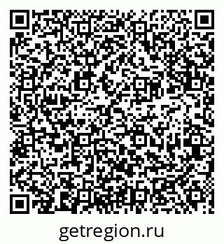 79681300538