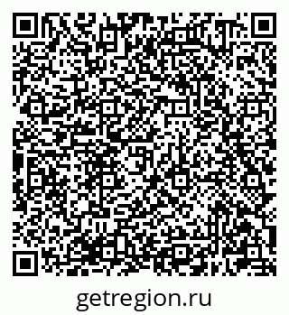 79681300558