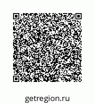 79681353294