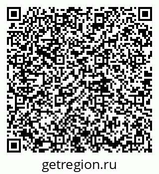 79681480831