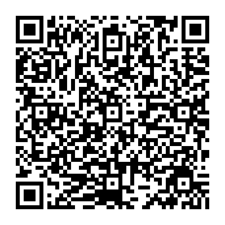79681481733