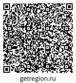 79681728831
