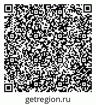 79681750240