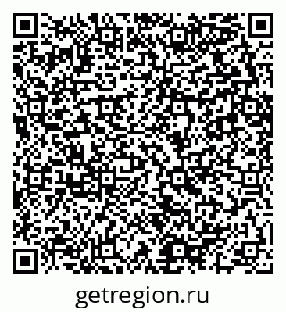 79682600558
