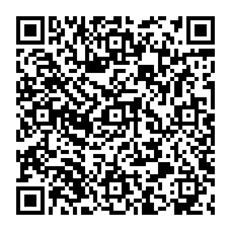 79770011317