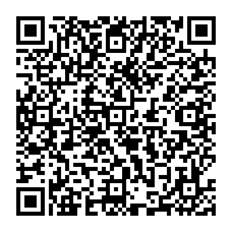 79813002077