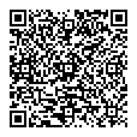 79813004377