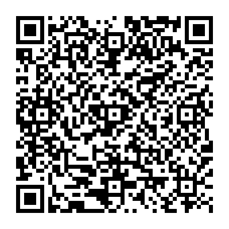 79813004806