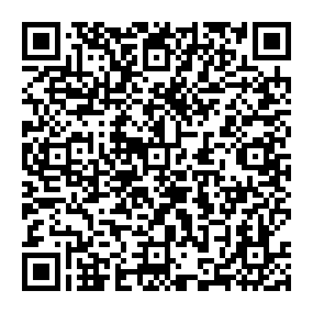 79813004882