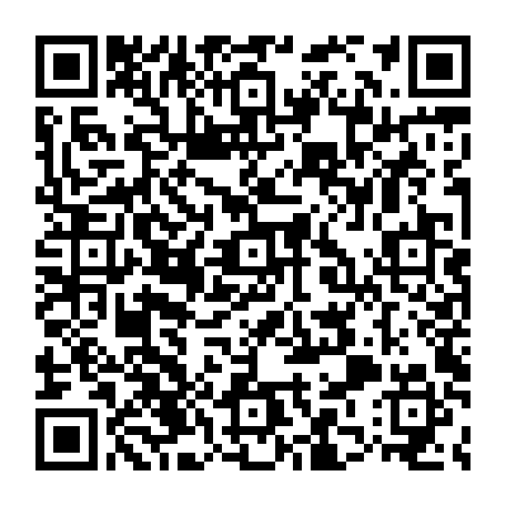 79813004902