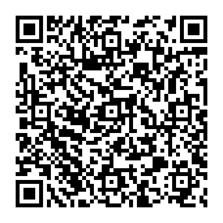 79813004907