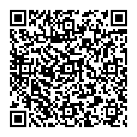 79813004993