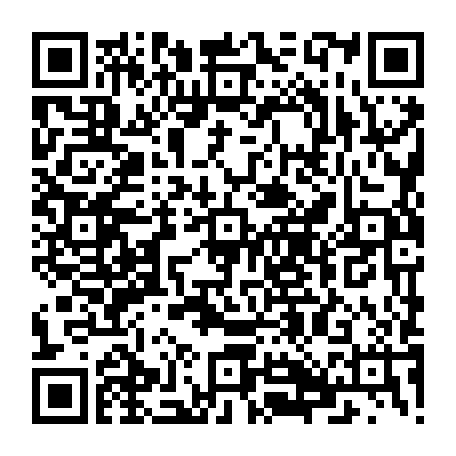 79813006566