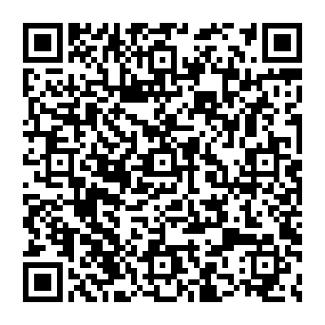 79813008831