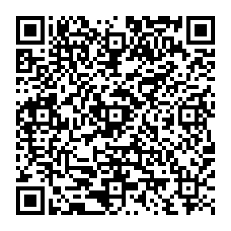79813011380