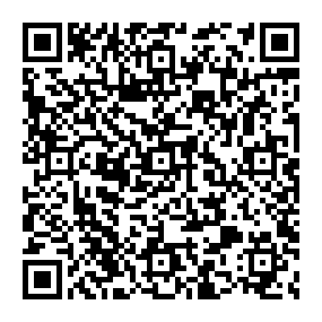 79813011384