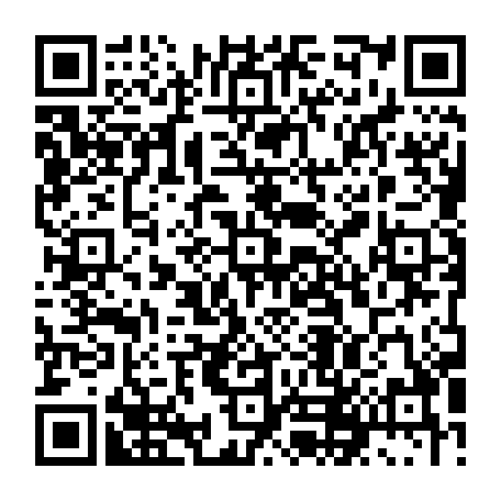 79815246691