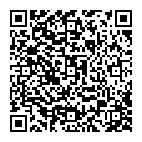 79815247295