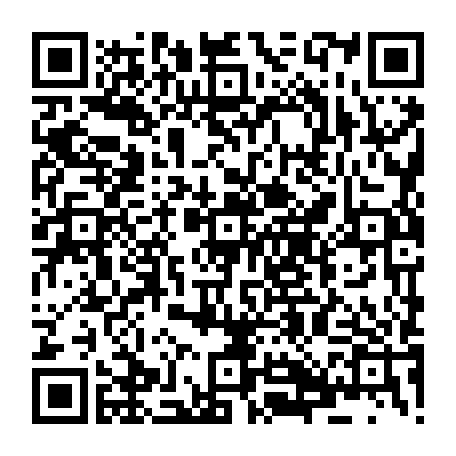 79830541381