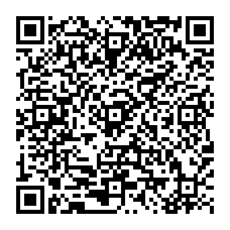 79830541382