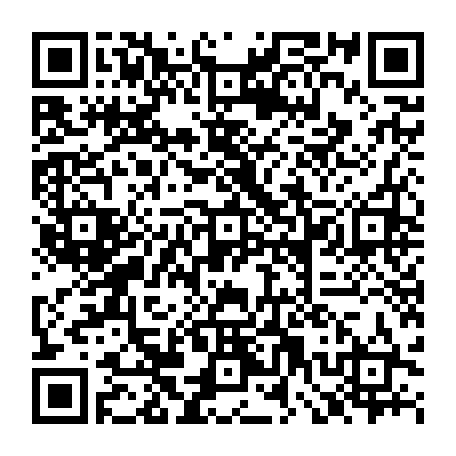 79831200884