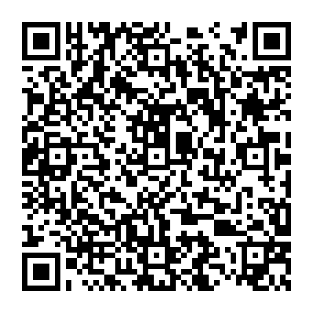 79831400504