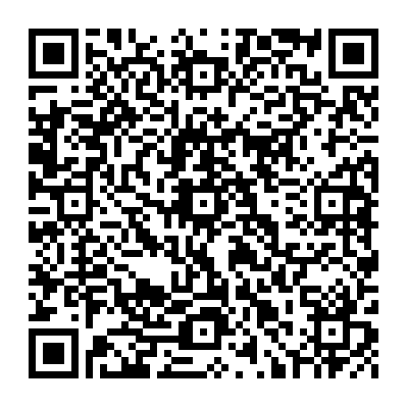 79832500205