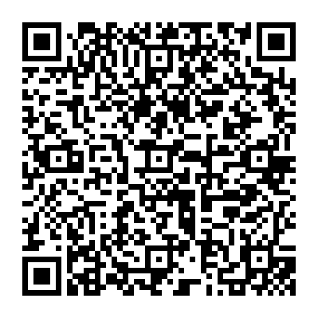 79832500654
