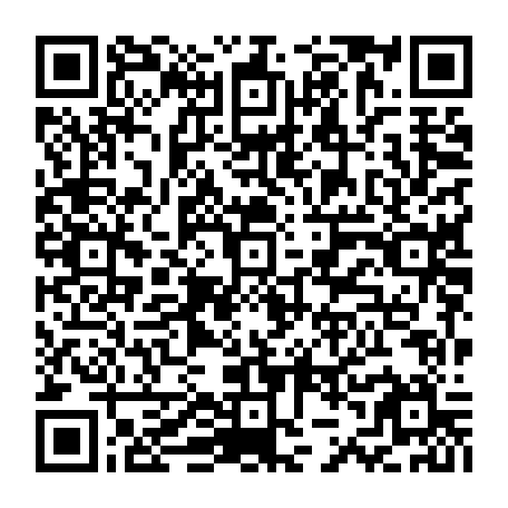 79832550028