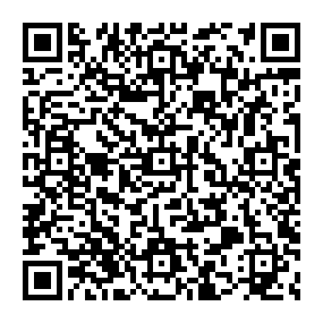 79832550029