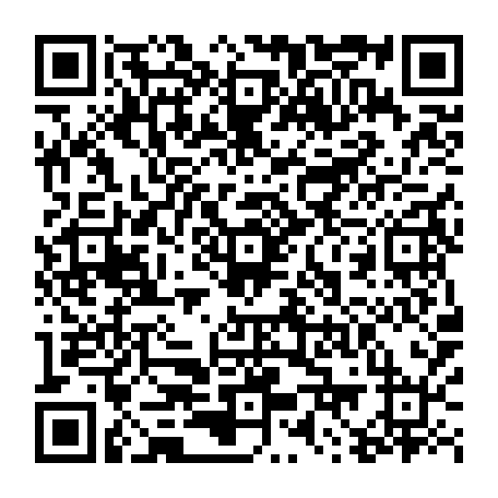 79832550374