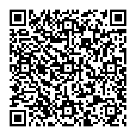 79832552941