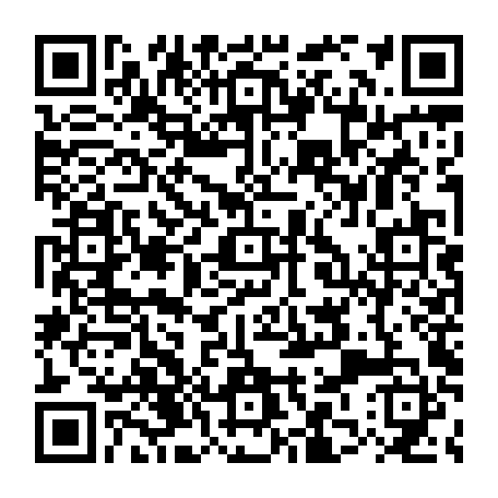 79832554078