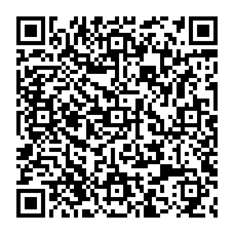 79832554155